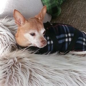 Meet your Posher, Cheryl